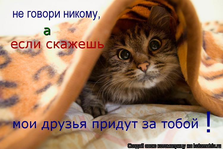 не говори никому, а если скажешь мои друзья придут за тобой !... Котоматрица: не говори никому, а если скажешь мои друзья придут за тобой !