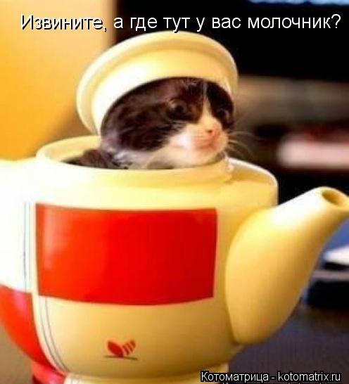 Извините, а где тут у вас молочник?... Котоматрица: Извините, а где тут у вас молочник?
