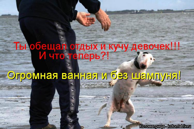 Ты обещал отдых и кучу девочек!!! И что теперь?! Огромная ванная и без шампуня!... Котоматрица: Ты обещал отдых и кучу девочек!!! И что теперь?! Огромная ванная и без шампуня!