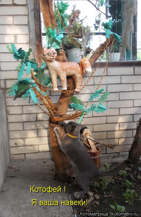 Котофей ! Я ваша навеки!... Котоматрица: Котофей ! Я ваша навеки!