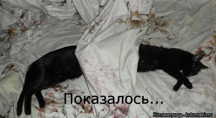 Показалось...... Котоматрица: Показалось...