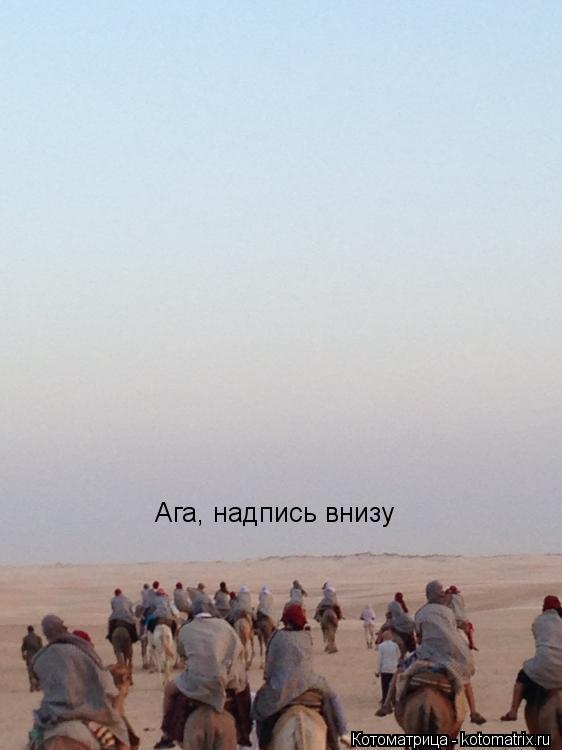 Ага, надпись внизу... Котоматрица: Ага, надпись внизу