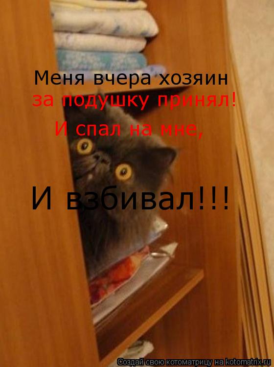 Меня вчера хозяин за подушку принял! И спал на мне, И взбивал!!!... Котоматрица: Меня вчера хозяин за подушку принял! И спал на мне, И взбивал!!!