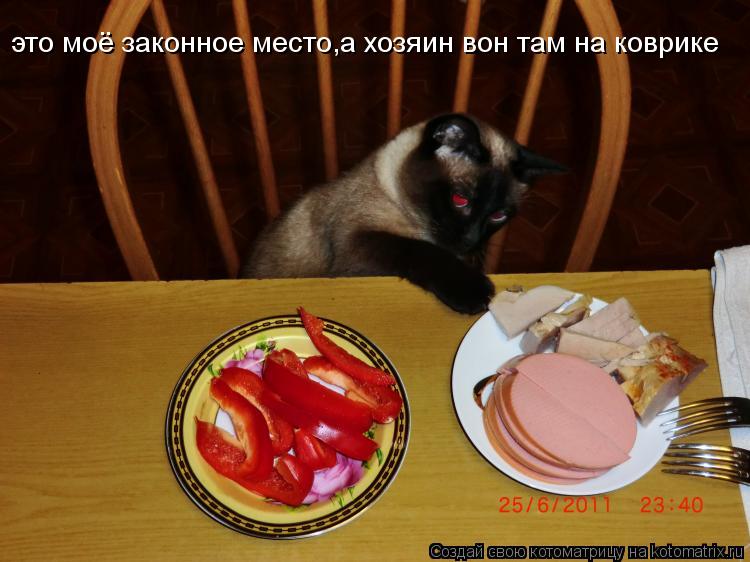 это моё законное место,а хозяин вон там на коврике... Котоматрица: это моё законное место,а хозяин вон там на коврике