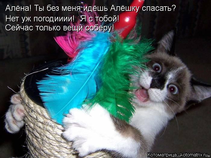 Алёна! Ты без меня идёшь Алёшку спасать? Нет уж погодииии! Я с тобой! Сейчас только вещи соберу!... Котоматрица: Алёна! Ты без меня идёшь Алёшку спасать? Нет уж погодииии! Я с тобой! Сейчас только вещи соберу!