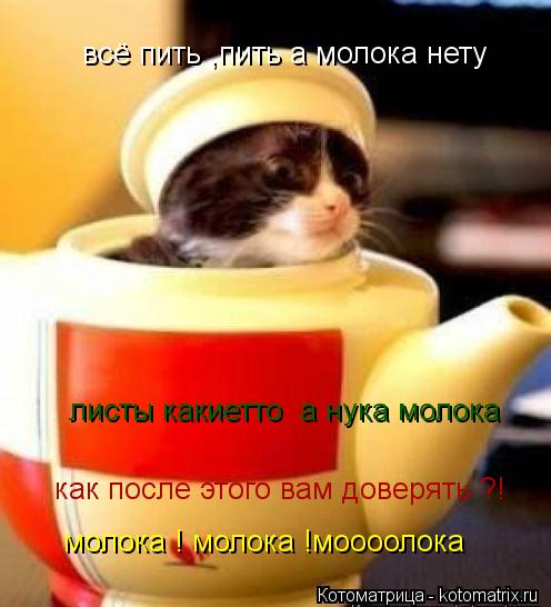 всё пить ,пить а молока нету листы какиетто а нука молока как после этого вам доверять ?! молока ! ... Котоматрица: всё пить ,пить а молока нету листы какиетто а нука молока как после этого вам доверять ?! молока ! молока !моооолока
