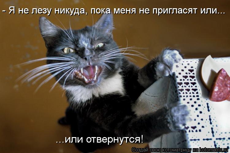 - Я не лезу никуда, пока меня не пригласят или... ...или отвернутся!... Котоматрица: - Я не лезу никуда, пока меня не пригласят или... ...или отвернутся!