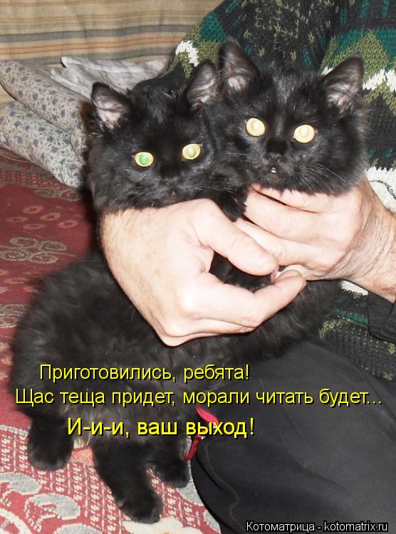 Приготовились, ребята! Щас теща придет, морали читать будет... И-и-и, ваш выход!... Котоматрица: Приготовились, ребята! Щас теща придет, морали читать будет... И-и-и, ваш выход!