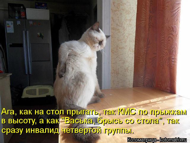 Котоматрица: Ага, как на стол прыгать, так КМС по прыжкам в высоту, а как "Васька, брысь со стола", так сразу инвалид четвертой группы.