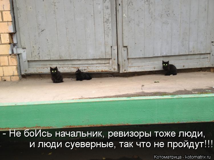 - Не боИсь начальник, ревизоры тоже люди, и люди суеверные, так что не пройдут!!!... Котоматрица: - Не боИсь начальник, ревизоры тоже люди, и люди суеверные, так что не пройдут!!!