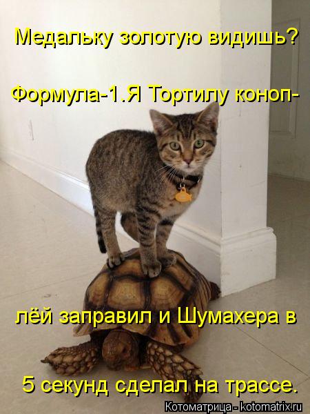 Медальку золотую видишь? Формула-1.Я Тортилу коноп- лёй заправил и Шумахера в 5 секунд сделал на трас... Котоматрица: Медальку золотую видишь? Формула-1.Я Тортилу коноп- лёй заправил и Шумахера в 5 секунд сделал на трассе.