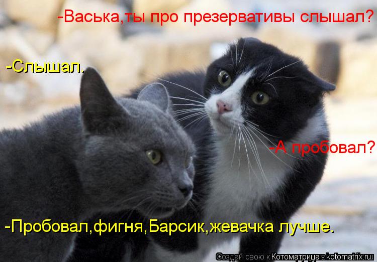 -Васька,ты про презервативы слышал? -Слышал. -А пробовал? -Пробовал,фигня,Барсик,жевачка лучше.... Котоматрица: -Васька,ты про презервативы слышал? -Слышал. -А пробовал? -Пробовал,фигня,Барсик,жевачка лучше.