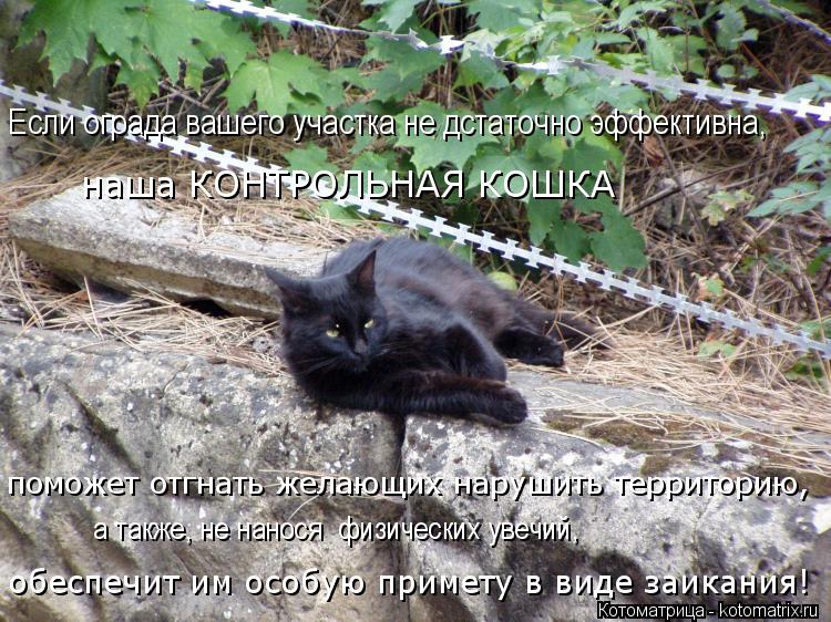обеспечит им особую примету в виде заикания! поможет отгнать желающих нарушить территорию, а также, н... Котоматрица: обеспечит им особую примету в виде заикания! поможет отгнать желающих нарушить территорию, а также, не нанося физических увечий, Если огра