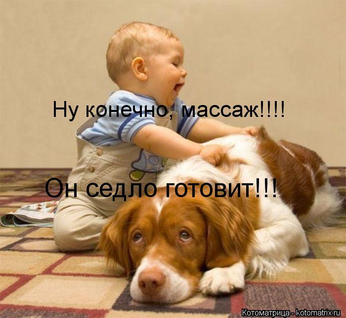 Ну конечно, массаж!!!! Он седло готовит!!!... Котоматрица: Ну конечно, массаж!!!! Он седло готовит!!!
