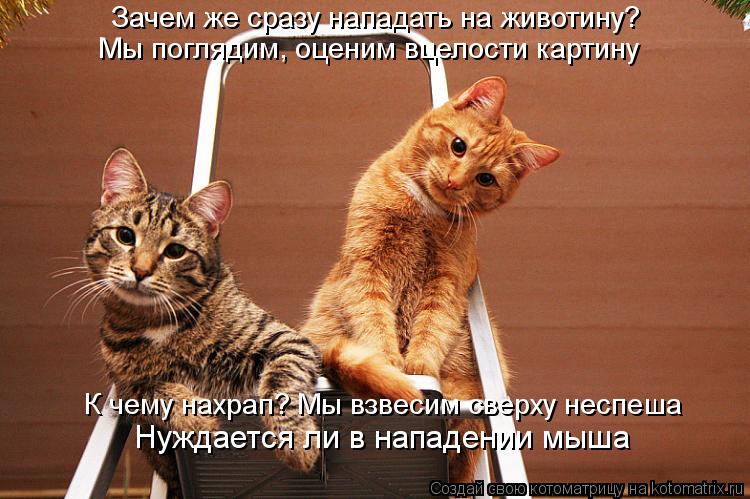 Зачем же сразу нападать на животину? Мы поглядим, оценим вцелости картину К чему нахрап? Мы взвесим с... Котоматрица: Зачем же сразу нападать на животину? Мы поглядим, оценим вцелости картину К чему нахрап? Мы взвесим сверху неспеша Нуждается ли в нападении