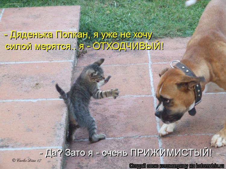 - Дяденька Полкан, я уже не хочу силой мерятся.. я - ОТХОДЧИВЫЙ! - Да? Зато я - очень ПРИЖИМИСТЫЙ!... Котоматрица: - Дяденька Полкан, я уже не хочу силой мерятся.. я - ОТХОДЧИВЫЙ! - Да? Зато я - очень ПРИЖИМИСТЫЙ!