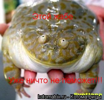 Этой жабе Уже ничто не поможет!!!... Котоматрица: Этой жабе Уже ничто не поможет!!!