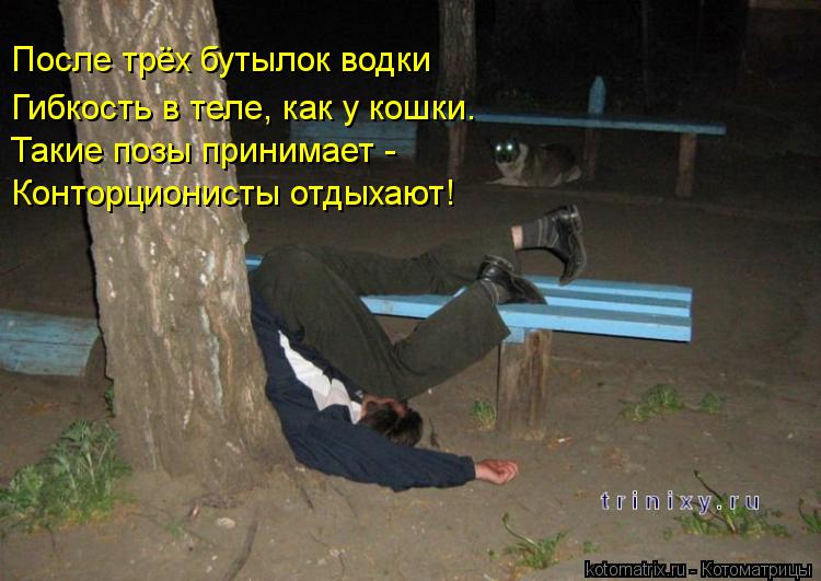 После трёх бутылок водки Гибкость в теле, как у кошки. Такие позы принимает - Конторционисты отдыхают... Котоматрица: После трёх бутылок водки Гибкость в теле, как у кошки. Такие позы принимает - Конторционисты отдыхают!