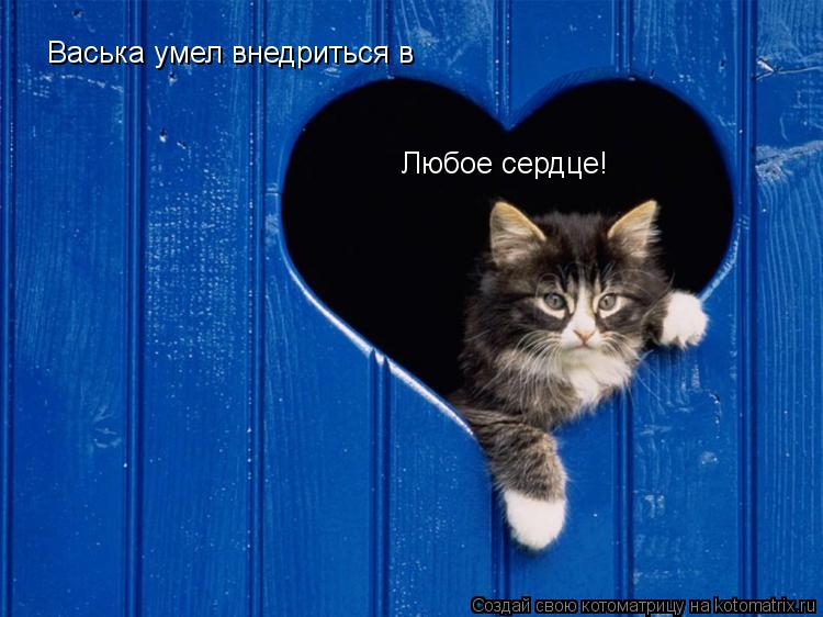 Васька умел внедриться в Любое сердце!... Котоматрица: Васька умел внедриться в Любое сердце!
