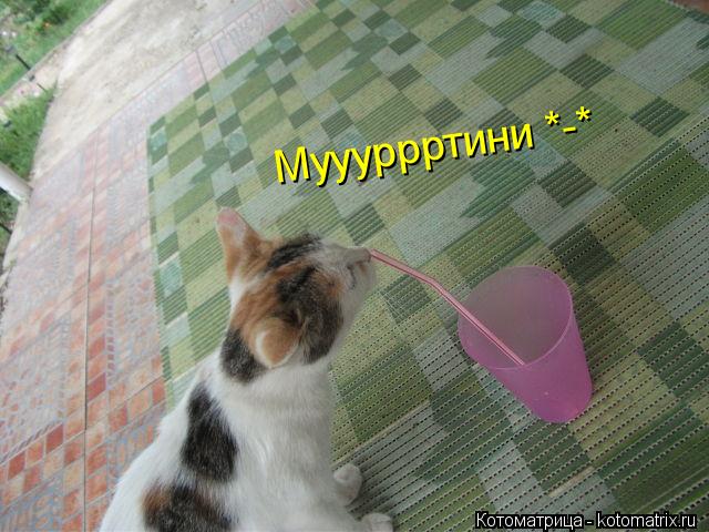 Муууррртини *-*... Котоматрица: Муууррртини *-*