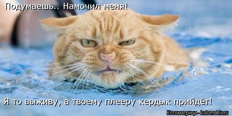 Подумаешь.. Намочил меня! Я то выживу, а твоему плееру кердык прийдёт!... Котоматрица: Подумаешь.. Намочил меня! Я то выживу, а твоему плееру кердык прийдёт!