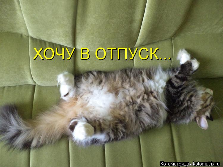 ХОЧУ В ОТПУСК...... Котоматрица: ХОЧУ В ОТПУСК...