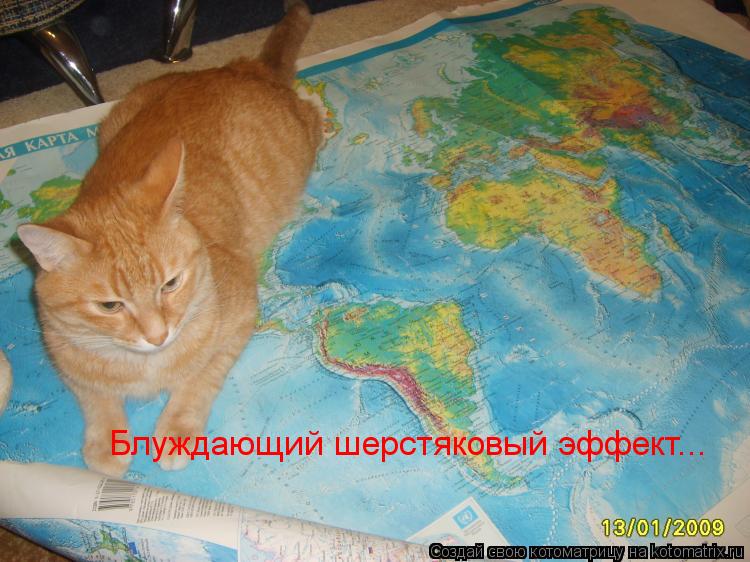 Блуждающий шерстяковый эффект...... Котоматрица: Блуждающий шерстяковый эффект...