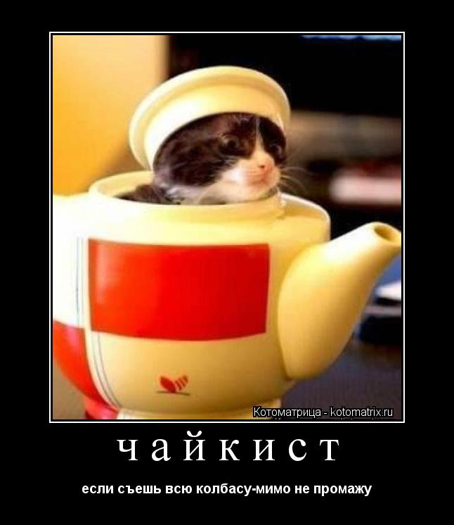 чайкист если съешь всю колбасу-мимо не промажу... Котоматрица: чайкист если съешь всю колбасу-мимо не промажу