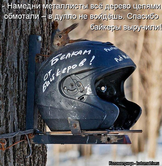 - Намедни металлисты всё дерево цепями байкеры выручили! обмотали – в дупло не войдёшь. Спасибо... Котоматрица: - Намедни металлисты всё дерево цепями байкеры выручили! обмотали – в дупло не войдёшь. Спасибо