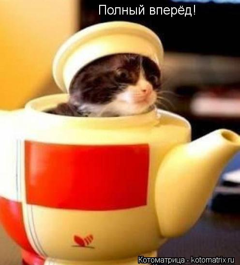 Полный вперёд!... Котоматрица: Полный вперёд!