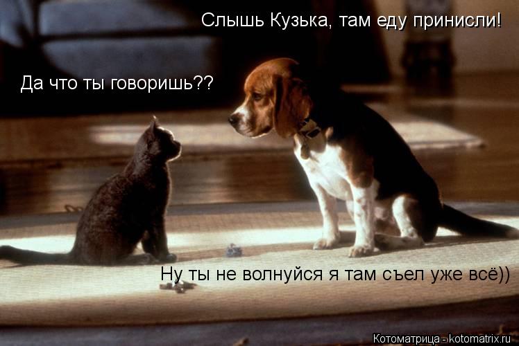 Котоматрица: Слышь Кузька, там еду принисли! Да что ты говоришь?? Ну ты не волнуйся я там съел уже всё))