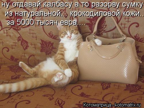 ну отдавай калбасу а то разорву сумку из натуральной... крокодиловой кожи.... за 5000 тысяч евра.... ... Котоматрица: ну отдавай калбасу а то разорву сумку из натуральной... крокодиловой кожи.... за 5000 тысяч евра.... ну отдавай калбасу а то разорву сумку из нату