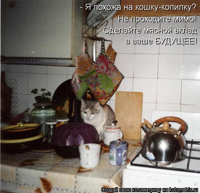 - Я похожа на кошку-копилку? Не проходите мимо! Сделайте мясной вклад в ваше БУДУЩЕЕ!... Котоматрица: - Я похожа на кошку-копилку? Не проходите мимо! Сделайте мясной вклад в ваше БУДУЩЕЕ!