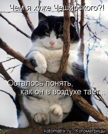 Осталось понять, как он в воздухе тает... Чем я хуже Чеширского?!... Котоматрица: Осталось понять, как он в воздухе тает... Чем я хуже Чеширского?!