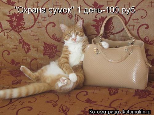 "Охрана сумок" 1 день-100 руб... Котоматрица: "Охрана сумок" 1 день-100 руб