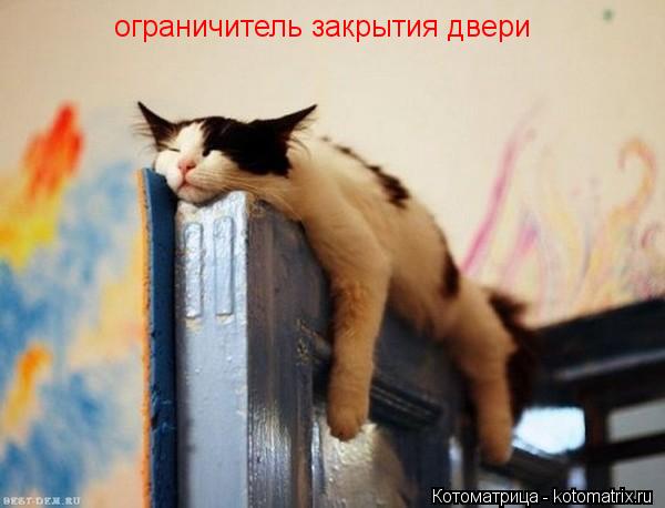 ограничитель закрытия двери... Котоматрица: ограничитель закрытия двери