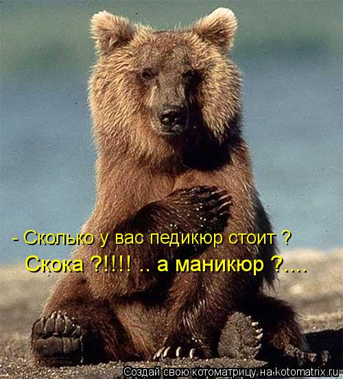 - Сколько у вас педикюр стоит ? Скока ?!!!! .. а маникюр ?....... Котоматрица: - Сколько у вас педикюр стоит ? Скока ?!!!! .. а маникюр ?....