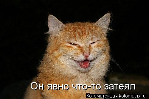 Он явно что-то затеял... Котоматрица: Он явно что-то затеял
