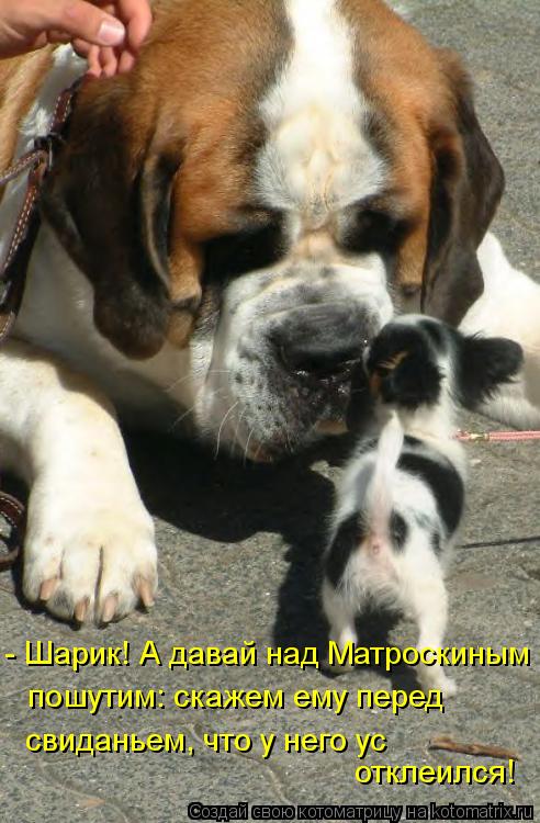 - Шарик! А давай над Матроскиным пошутим: скажем ему перед свиданьем, что у него ус отклеился!... Котоматрица: - Шарик! А давай над Матроскиным пошутим: скажем ему перед свиданьем, что у него ус отклеился!