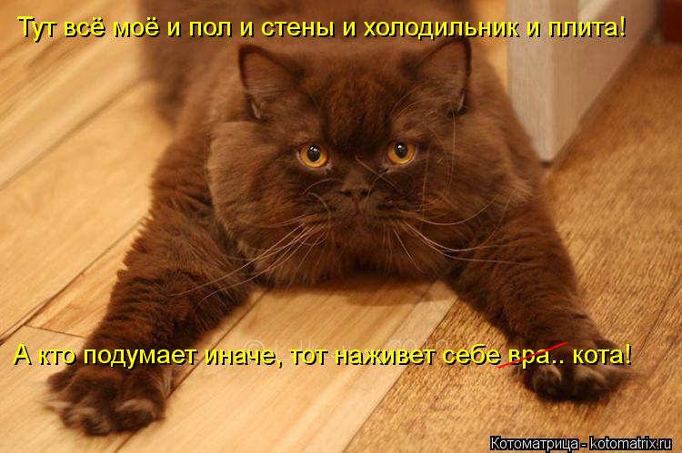 Тут всё моё и пол и стены и холодильник и плита! А кто подумает иначе, тот наживет себе вра.. кота! ... Котоматрица: Тут всё моё и пол и стены и холодильник и плита! А кто подумает иначе, тот наживет себе вра.. кота! _____