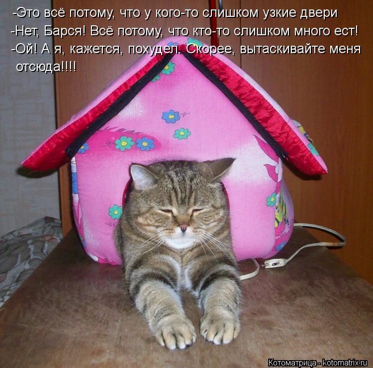 -Это всё потому, что у кого-то слишком узкие двери -Нет, Барся! Всё потому, что кто-то слишком много ... Котоматрица: -Это всё потому, что у кого-то слишком узкие двери -Нет, Барся! Всё потому, что кто-то слишком много ест! -Ой! А я, кажется, похудел. Скорее, вытас