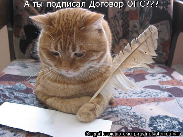 А ты подписал Договор ОПС???... Котоматрица: А ты подписал Договор ОПС???