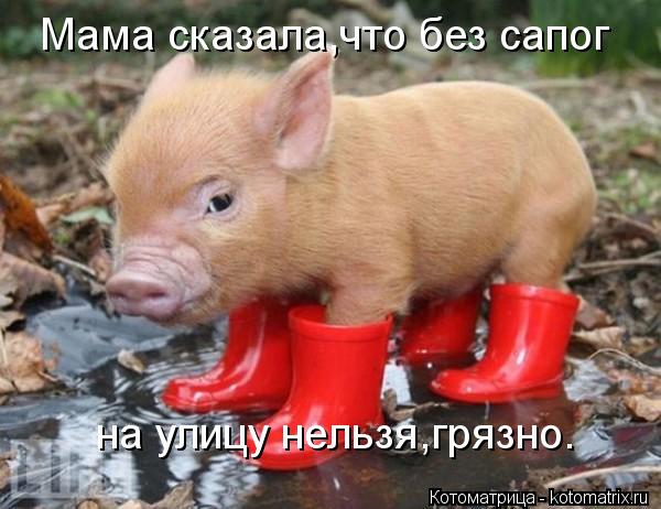Мама сказала,что без сапог на улицу нельзя,грязно.... Котоматрица: Мама сказала,что без сапог на улицу нельзя,грязно.