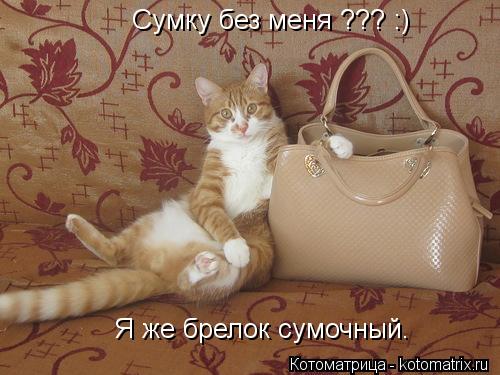 Котоматрица: Сумку без меня ??? :) Я же брелок сумочный.