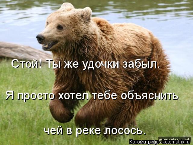 Стой! Ты же удочки забыл. Я просто хотел тебе объяснить чей в реке лосось.... Котоматрица: Стой! Ты же удочки забыл. Я просто хотел тебе объяснить чей в реке лосось.