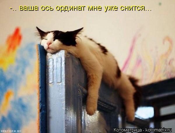 -.. ваша ось ординат мне уже снится...... Котоматрица: -.. ваша ось ординат мне уже снится...