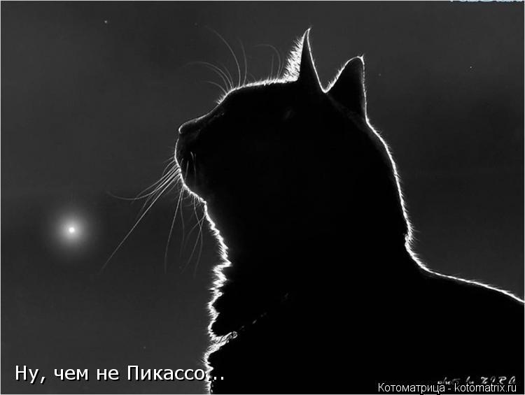 Ну, чем не Пикассо...... Котоматрица: Ну, чем не Пикассо...