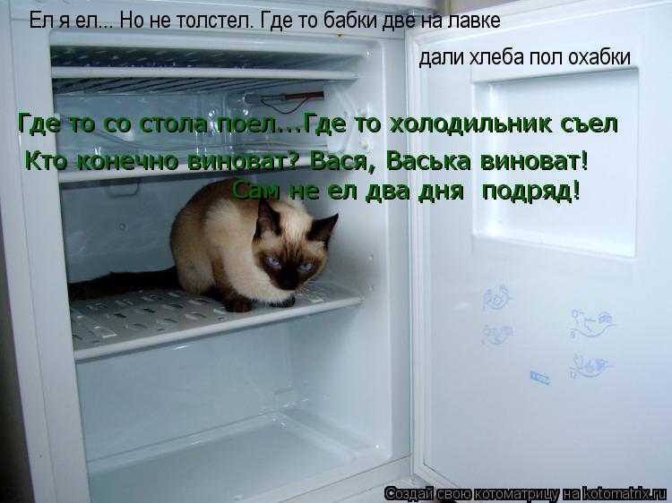 Котоматрица: Ел я ел... Но не толстел. Где то бабки две на лавке дали хлеба пол охабки Где то со стола поел...Где то холодильник съел Кто конечно виноват? Вас