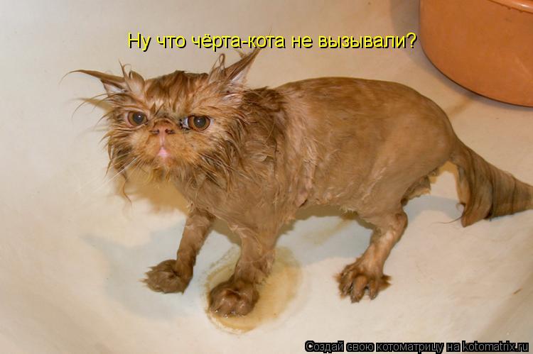 Ну что чёрта-кота не вызывали?... Котоматрица: Ну что чёрта-кота не вызывали?