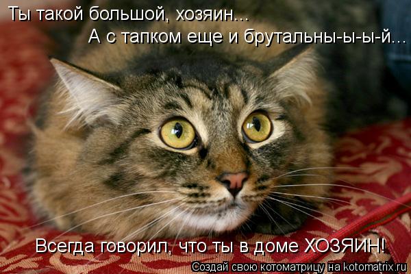 Ты такой большой, хозяин... А с тапком еще и брутальны-ы-ы-й... Всегда говорил, что ты в доме ХОЗЯИН!... Котоматрица: Ты такой большой, хозяин... А с тапком еще и брутальны-ы-ы-й... Всегда говорил, что ты в доме ХОЗЯИН!